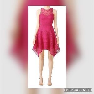 Theia Magenta Lace Dress